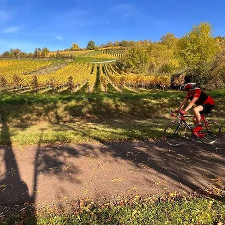 Apartment O Jardin Secret Oberschaeffolsheim